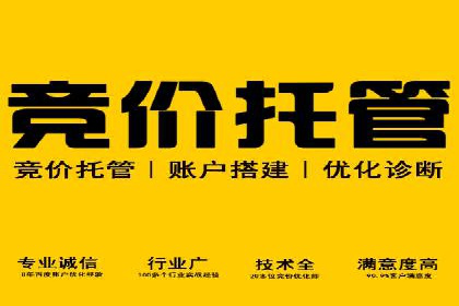 竞价广告案例分析：广告投放成本控制策略